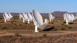 Radio dishes of the MeerKAT telescope array in South Africa.