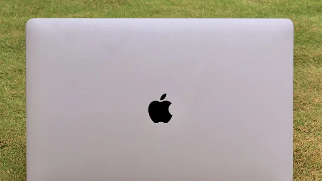 Apple MacBook Pro (2017) with monitor opened with grass as background