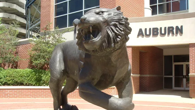 Auburn Tigers