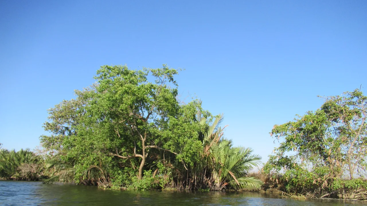 Bigaa River System (Wawa, San Juan and Panginay) 28