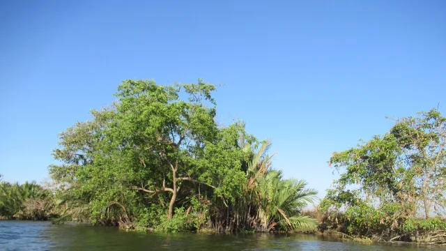 Bigaa River System (Wawa, San Juan and Panginay) 28