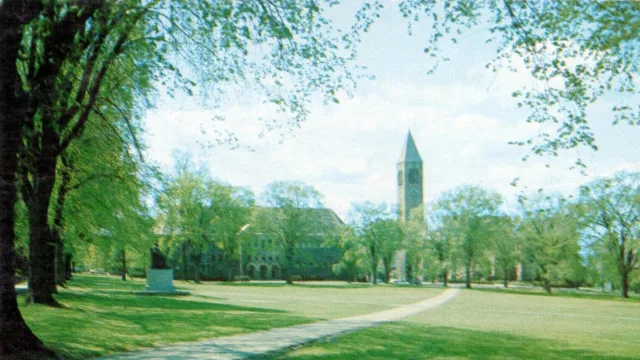Cornell University - The Quadrangle