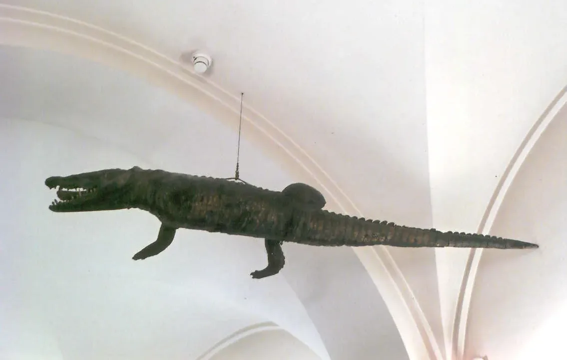 Crocodile du Pont du Rhône - Musée des Hospices Civils de Lyon - 2007.0.1963.M