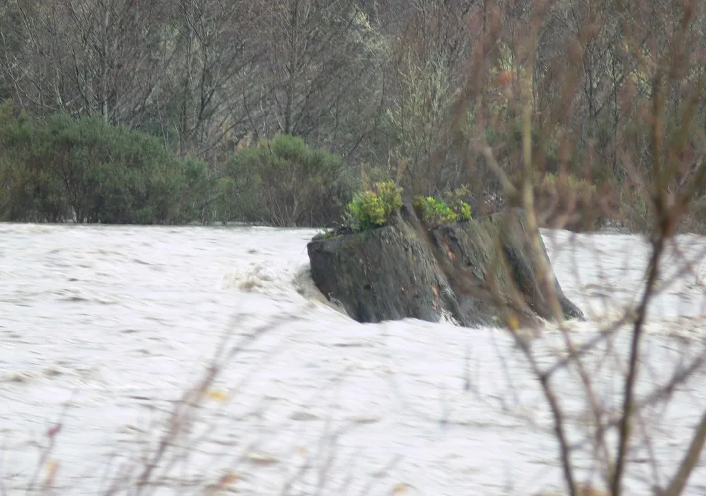 Don't fall in or you won't be found until you're a pulpy, swollen mess in Humboldt Bay