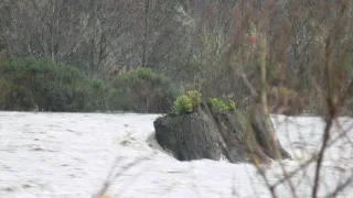 Don't fall in or you won't be found until you're a pulpy, swollen mess in Humboldt Bay