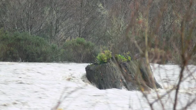 Don't fall in or you won't be found until you're a pulpy, swollen mess in Humboldt Bay