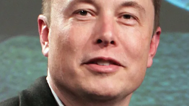 Musk at the 2015 Tesla Motors Annual Meeting