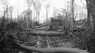 Gale force storm wind damage, Badminton, Gloucestershire 1990