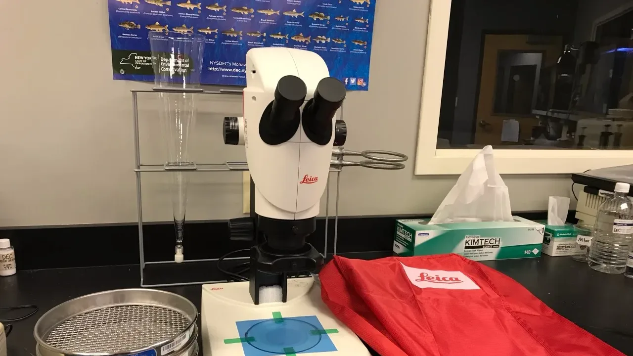 Large microscope used for counting microplastics found in water samples