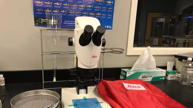 Large microscope used for counting microplastics found in water samples