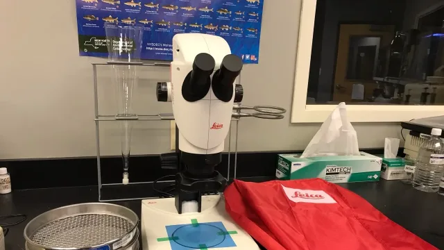 Large microscope used for counting microplastics found in water samples