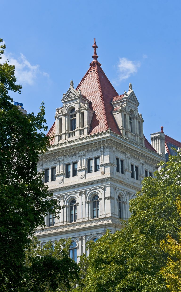 One of the two main towers of the New York State Capitol building, framed by the trees around it.