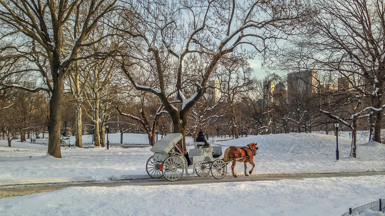 NYC Central Park Horse Carriage in the winter with snow