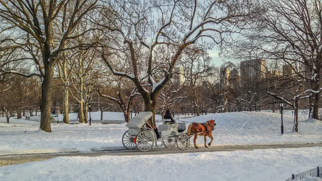 NYC Central Park Horse Carriage in the winter with snow