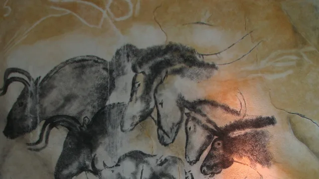 Replica of the painting from the Chauvet cave, in the Anthropos museum, Brno.