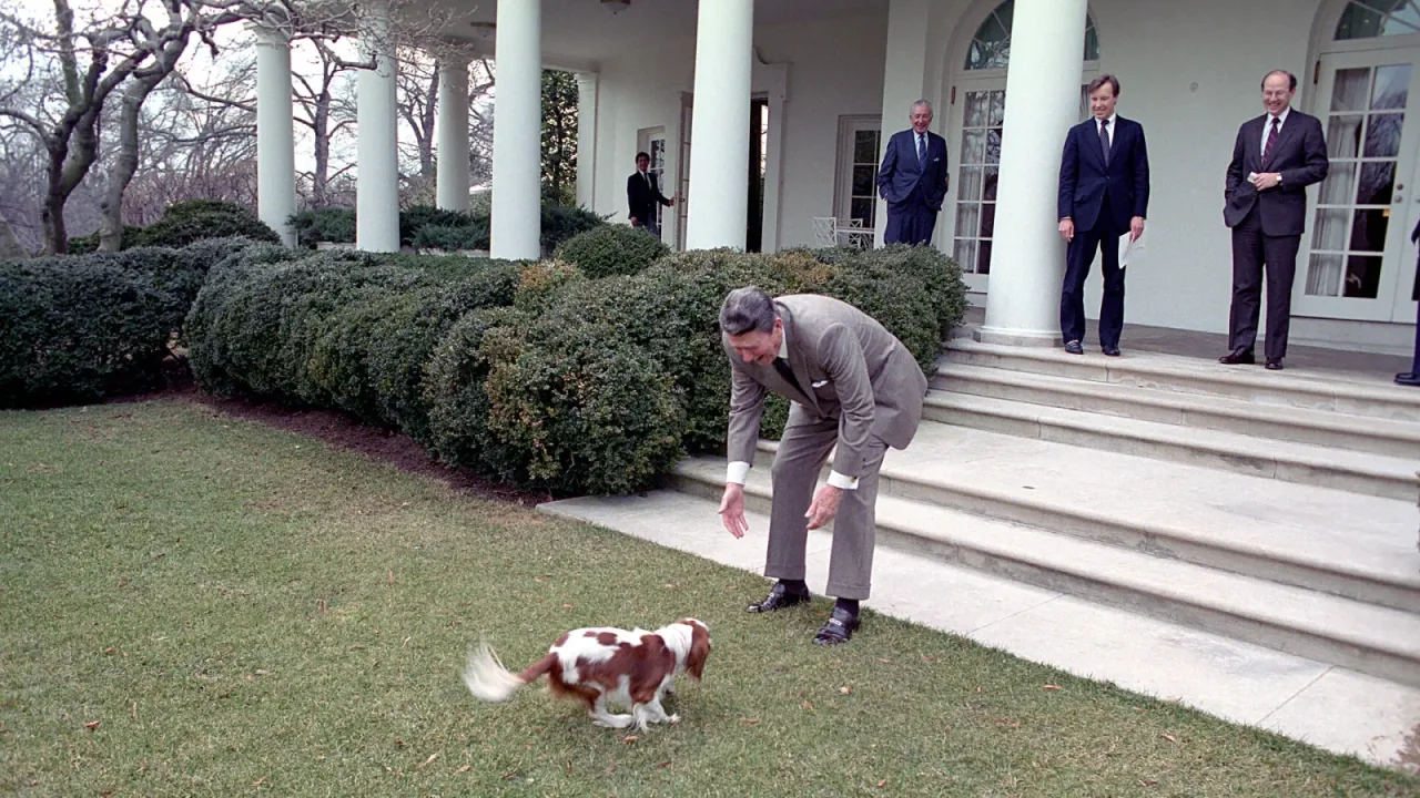 President Ronald Reagan Petting Rex The Dog with Jim Kuhn Don Regan and Dennis Thomas By The Colonnade - DPLA - 3c5dd8d661ab…