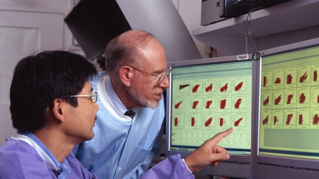 Researchers review cancer data