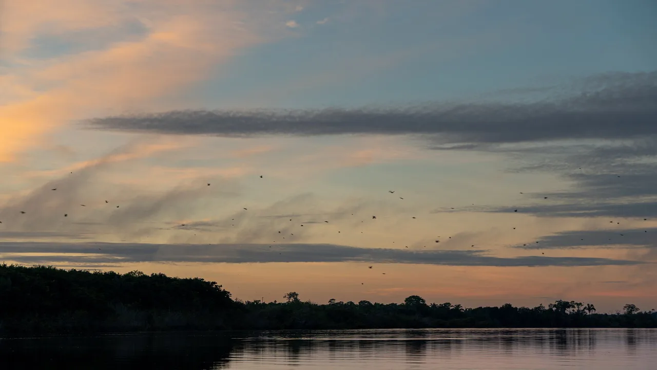 Sunset at Amazon rainforest, Brazil