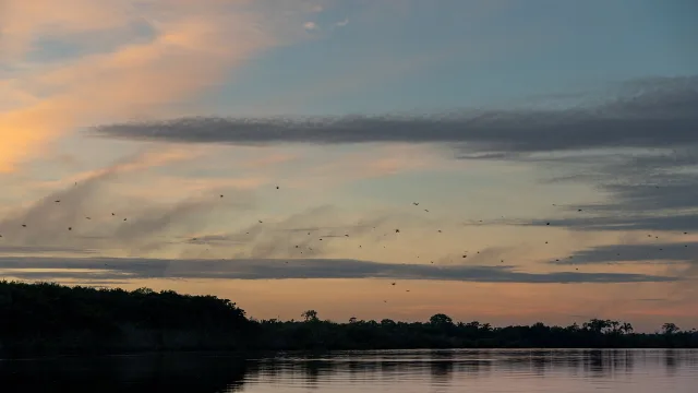 Sunset at Amazon rainforest, Brazil