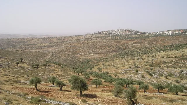 Taybeh – Palestinian village in the West Bank, 15 kilometers northeast of Jerusalem.