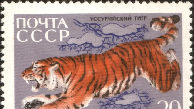 USSR stamp: Amur tiger. Series: Fauna of Sikhote-Alin Nature Reserve (35th Anniversary)