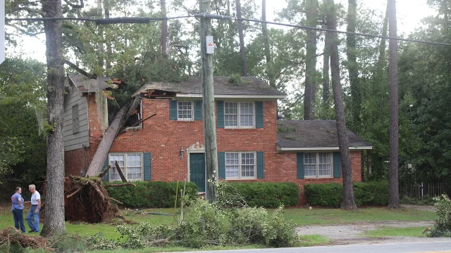 Tree on house, Hurricane Hermine, Valdosta, Lowndes County, Georgia