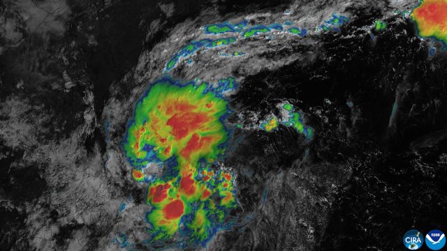 Tropical Depression Nine Forms in the Gulf (CIRA )
