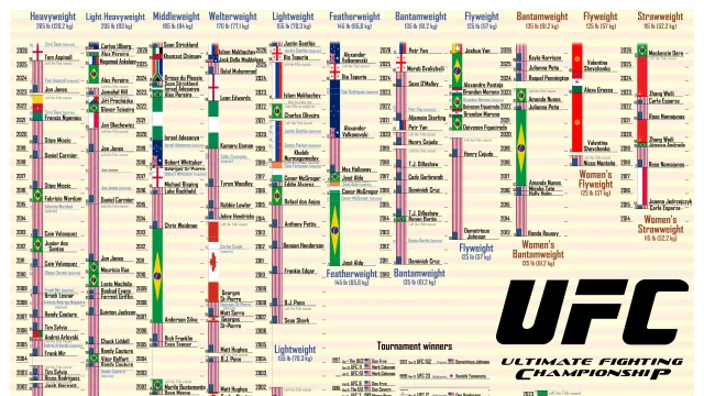 Список чемпионов мира по смешанным единоборствам (версия UFC)