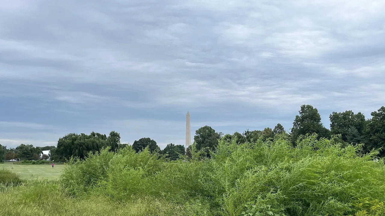 A view of the Washington Monument from East Potomac Golf Links.