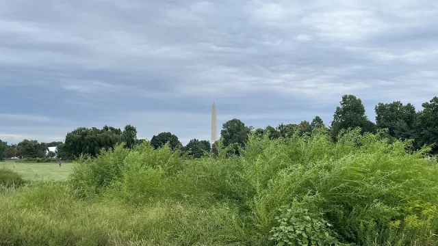 A view of the Washington Monument from East Potomac Golf Links.