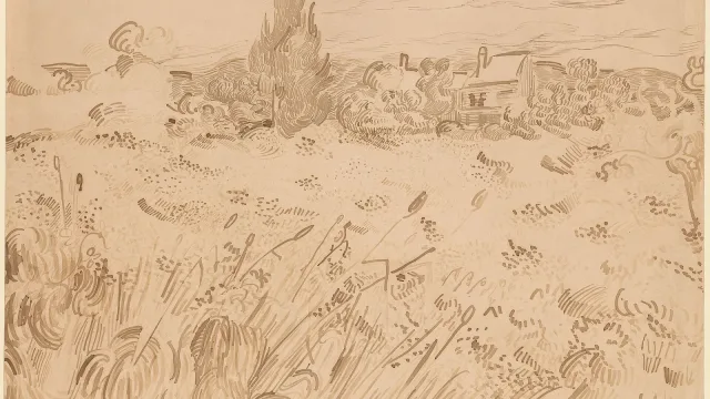 Wheatfield, Saint-Rémy de Provence